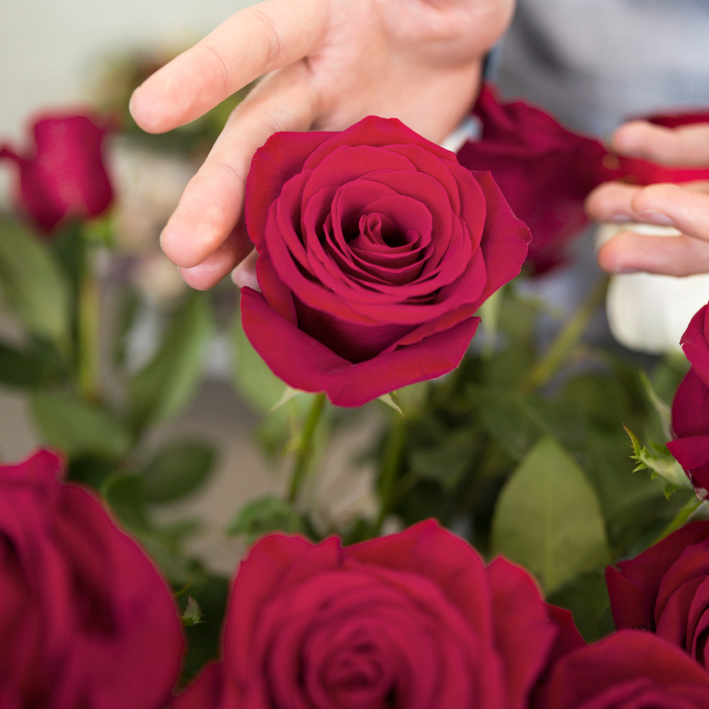 Consejos y trucos para mantener la belleza de tus ramos de rosas naturales